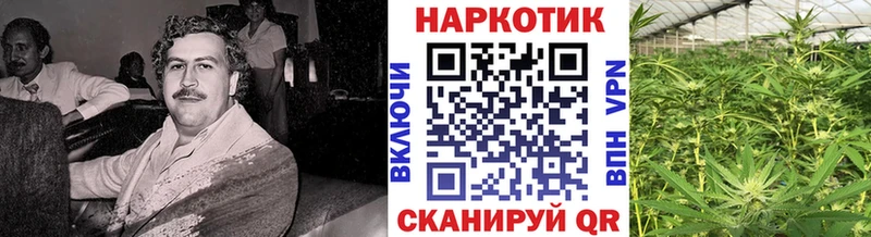 Купить MDMA АМФ A-PVP ГАШИШ МЕФ Кетамин Марихуана Губаха