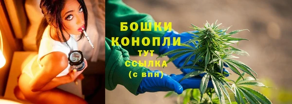 амф Инта