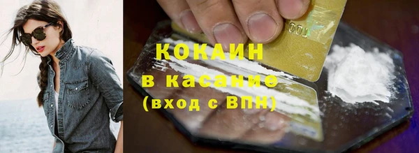 сатива Инсар