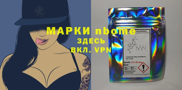 сатива Инсар