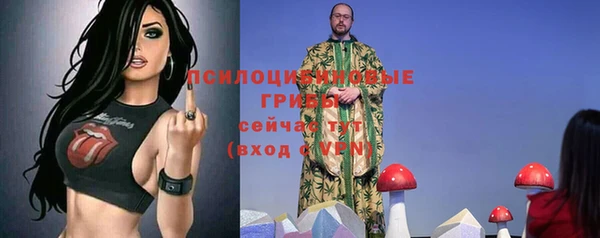 mdpv Иннополис