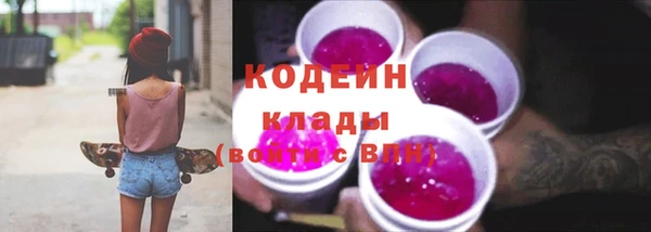 сатива Инсар