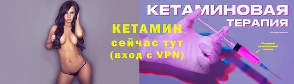 сатива Инсар