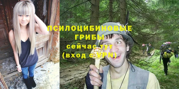 сатива Инсар