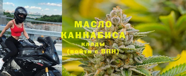 сатива Инсар