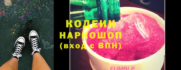 сатива Инсар