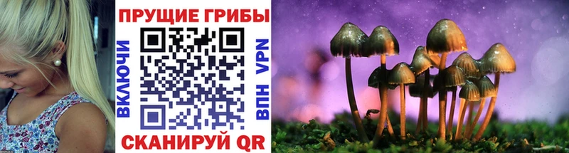 Псилоцибиновые грибы Magic Shrooms  Купить закладки  Губаха 